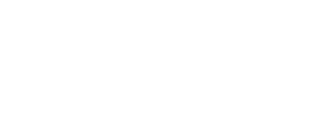 NSPEAR AGENCY